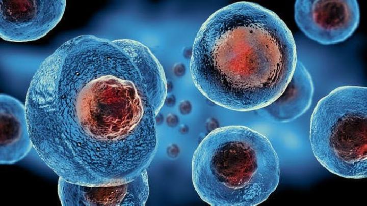 SantriHub.or.id - Stem Cells (Sel Punca) : Potensi Terapi Masa Depan untuk Berbagai Macam Penyakit.